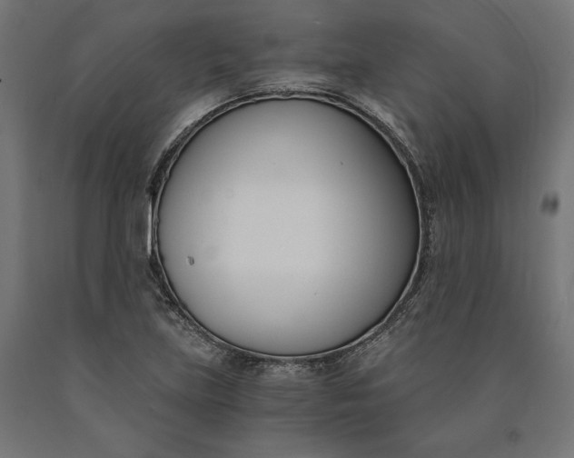 X0000090741219200708031538