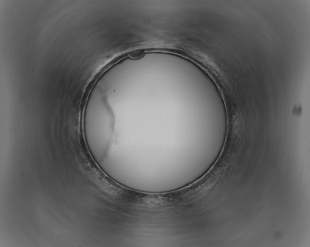 X0000090741220200708031538