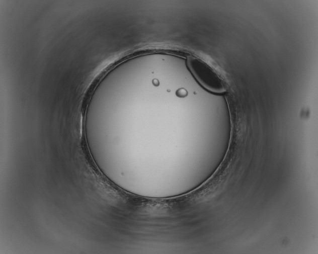 X0000090741221200708031538