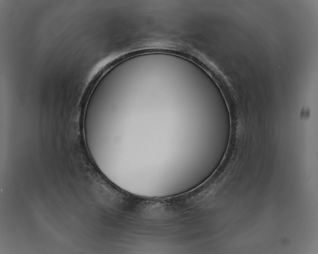 X0000090741222200708031538