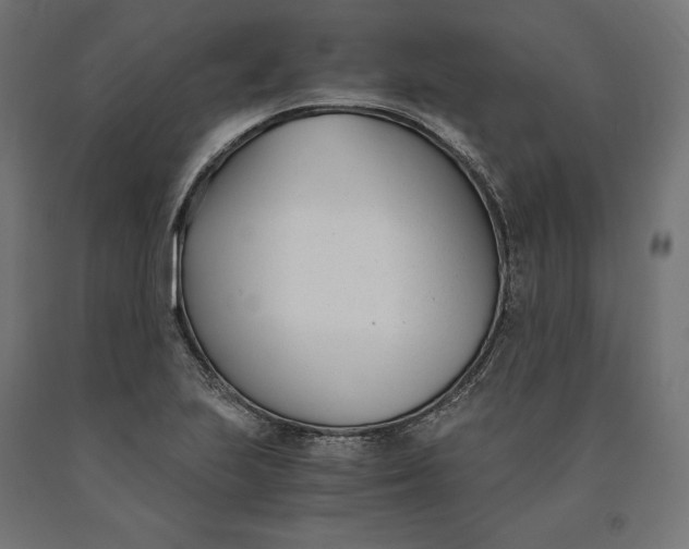 X0000090741223200708031538