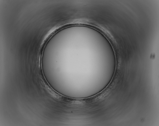 X0000090741224200708031538