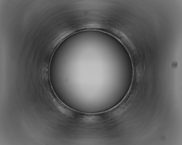 X0000090741225200708031538