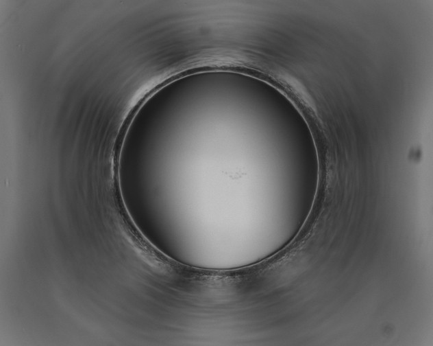 X0000090741226200708031539