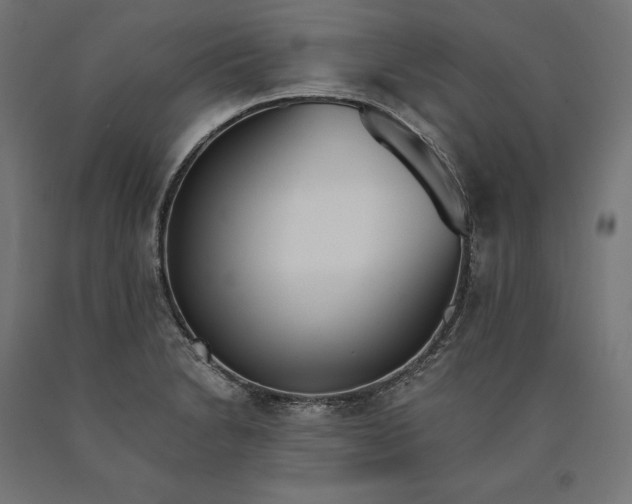 X0000090741230200708031539