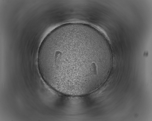 X0000090741231200708031539
