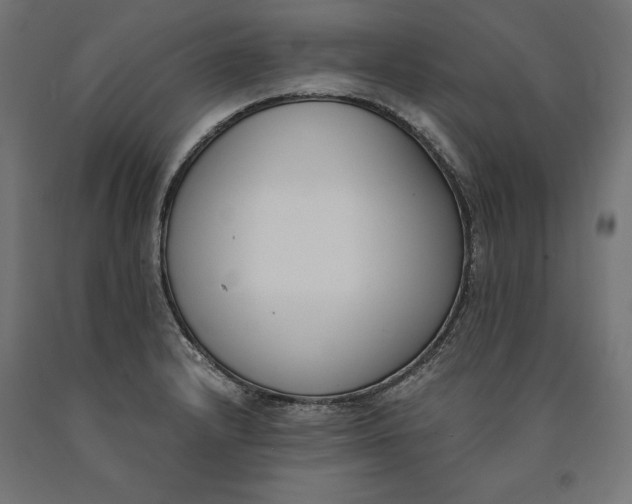 X0000090741232200708031539