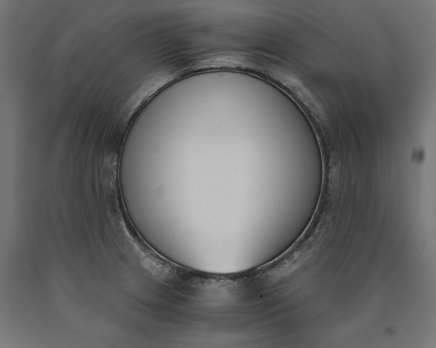 X0000090741233200708031539