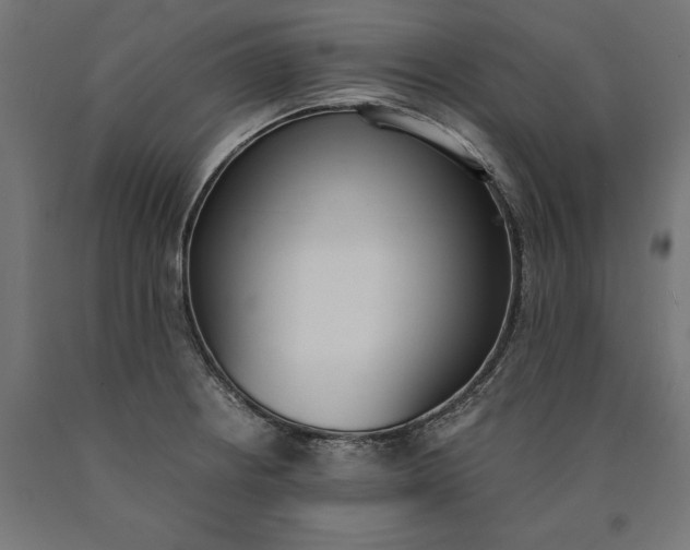 X0000090741234200708031539