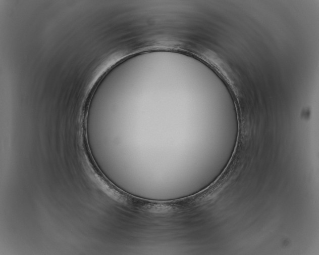 X0000090741235200708031539