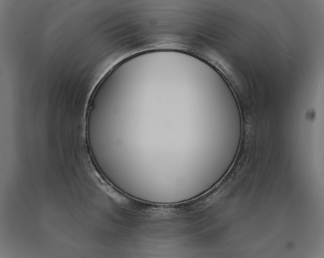 X0000090741236200708031539