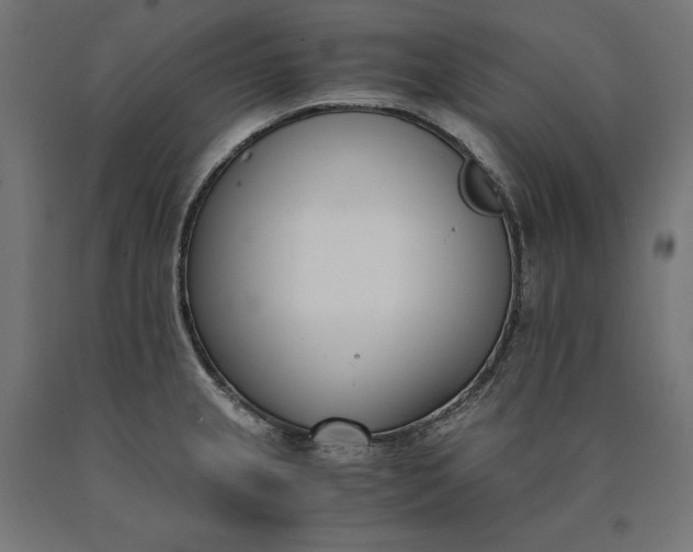 X0000090741237200708031539