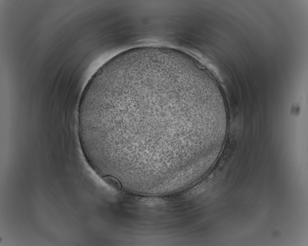 X0000090741239200708031539