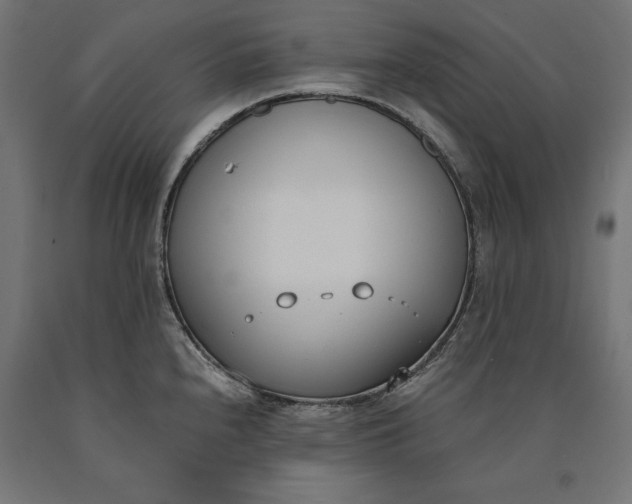 X0000090741240200708031539