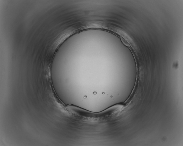 X0000090741241200708031539