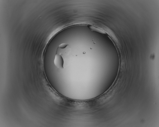 X0000090741242200708031539