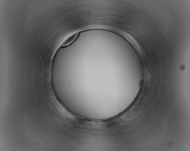 X0000090741244200708031539