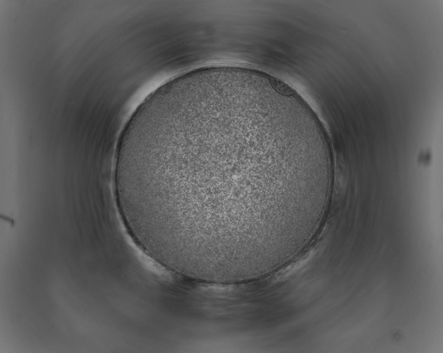 X0000090741245200708031539