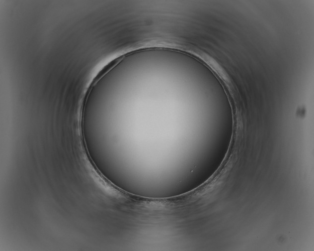 X0000090741246200708031539