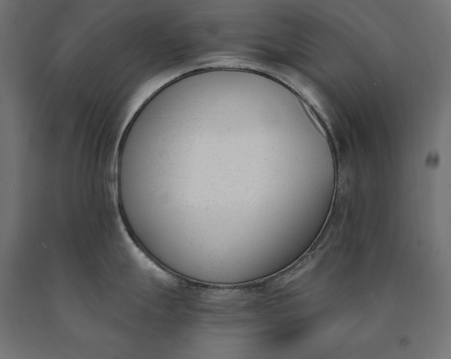 X0000090741247200708031539