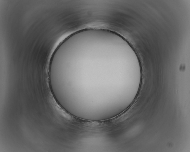 X0000090741248200708031539