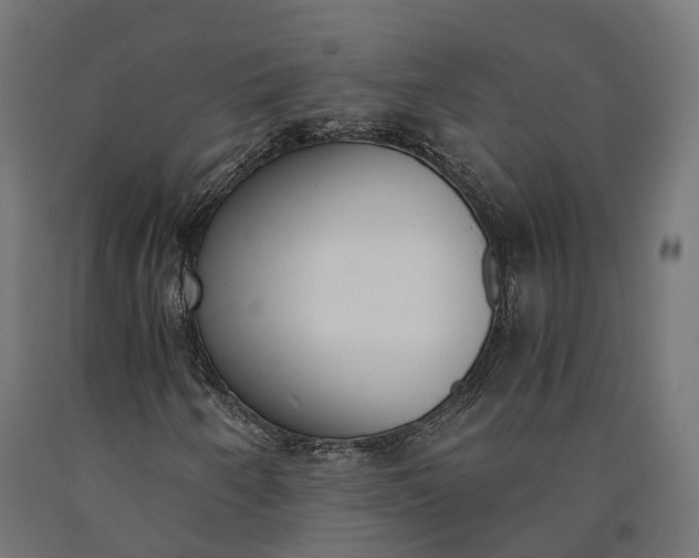 X0000090741250200708031538