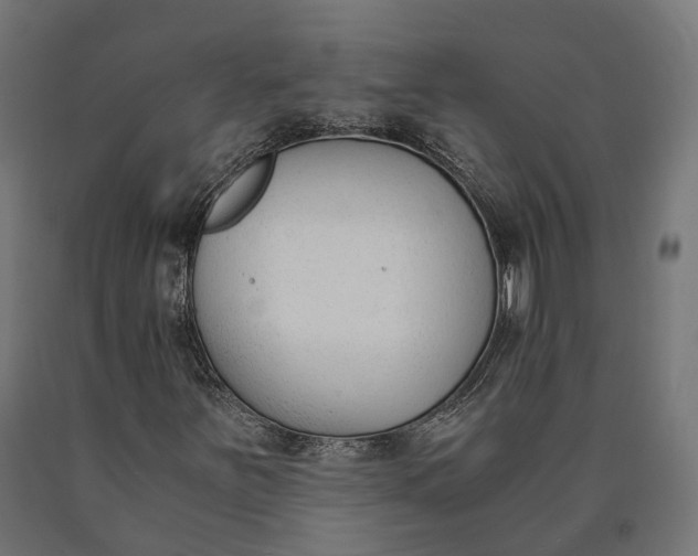 X0000090741251200708031538