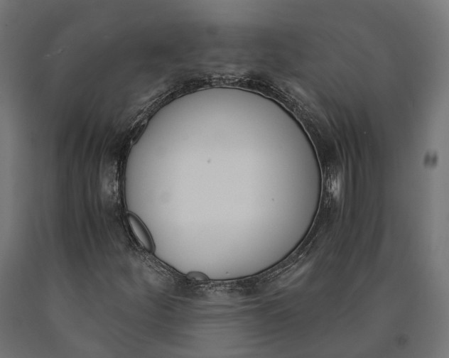 X0000090741252200708031538