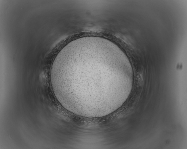 X0000090741254200708031538