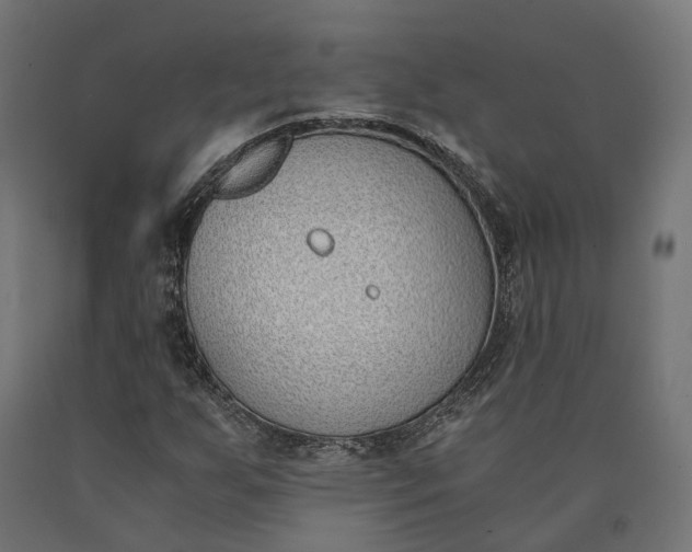 X0000090741255200708031538