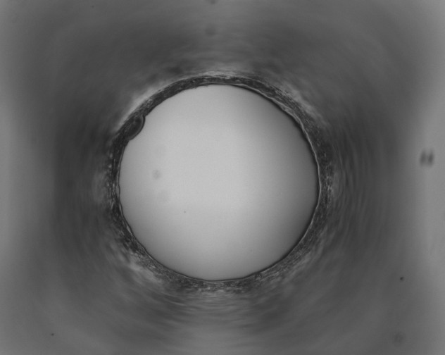 X0000090741256200708031538