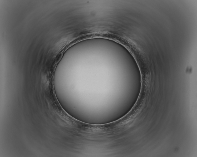 X0000090741257200708031538