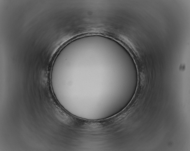 X0000090741260200708031538