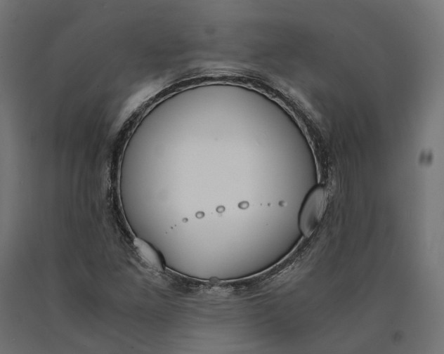 X0000090741261200708031538