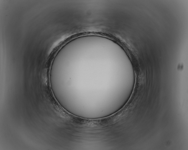 X0000090741262200708031538