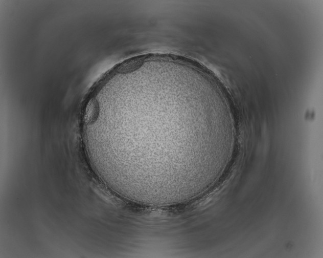 X0000090741263200708031538