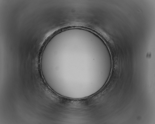 X0000090741264200708031538