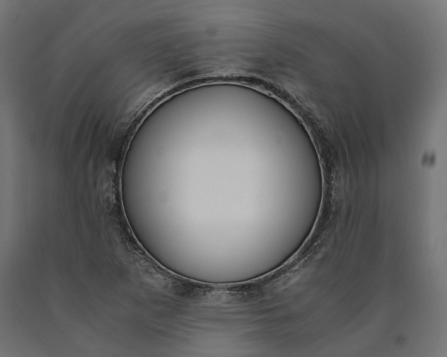 X0000090741265200708031538