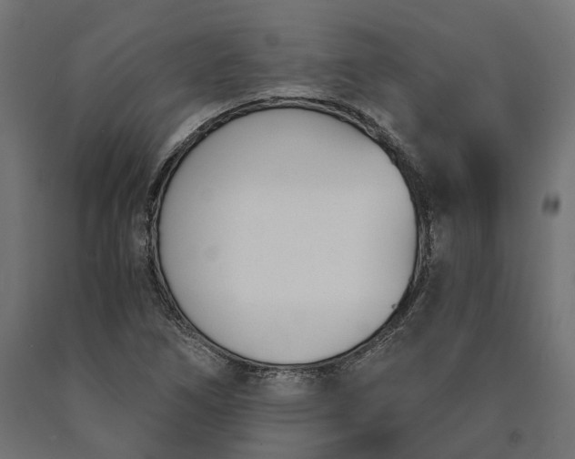 X0000090741266200708031538