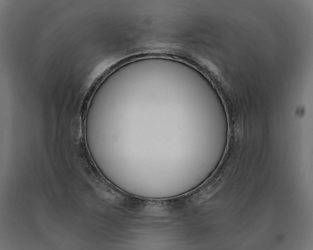 X0000090741267200708031538