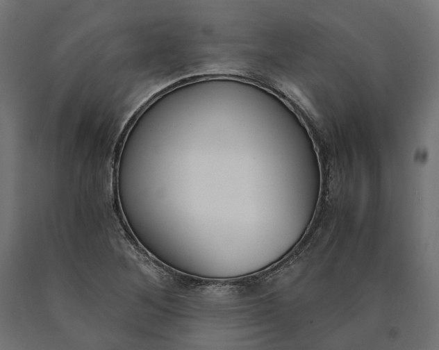 X0000090741268200708031538