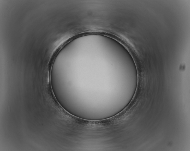 X0000090741269200708031538