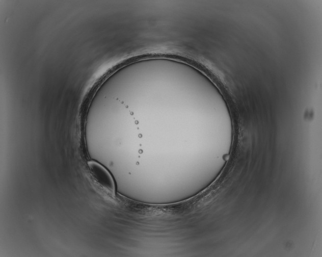 X0000090741270200708031538