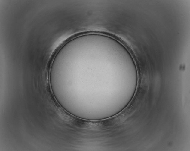 X0000090741271200708031538