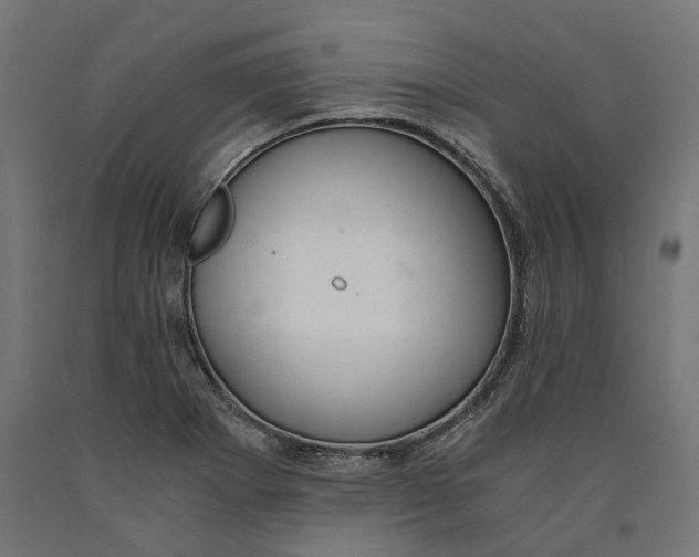 X0000090741273200708031538