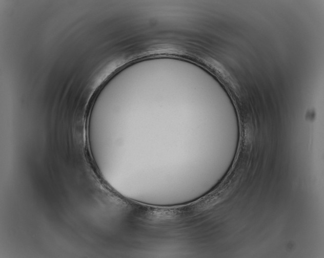 X0000090741274200708031538