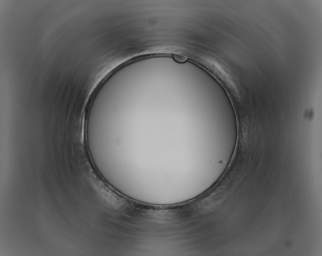 X0000090741276200708031538