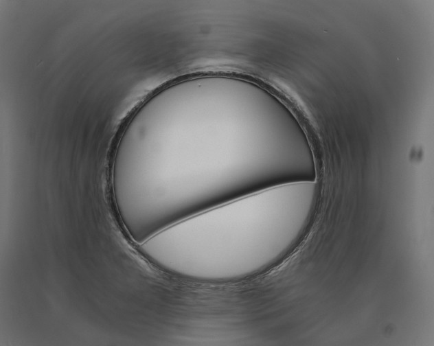 X0000090741277200708031538