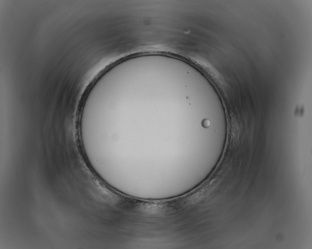 X0000090741278200708031538