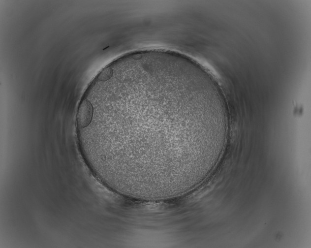 X0000090741279200708031538